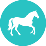 icone cheval