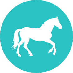 Icone cheval pour rubrique foire aux questions ostéopathie animale cheval poney Bayeux Caen Saint lo Vire Isigny sur mer