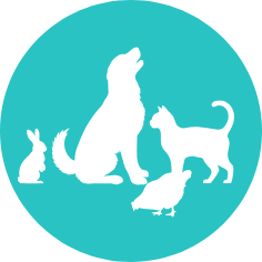 Icone rubrique chien chat nac animaux de compagnie questions ostéopathie animaux