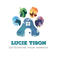Logo Lucie Tison Ostéopathe animaux Bayeux Calvados Manche