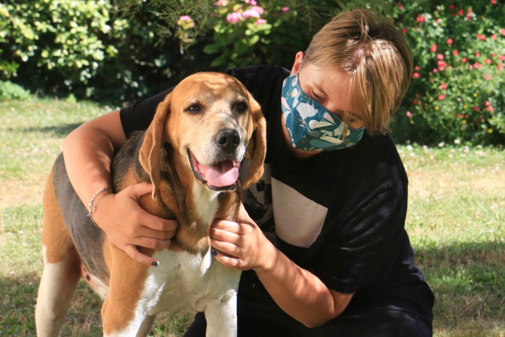 Séance ostéopathie chien âgé douleur dos Lucie Tison Ostéopathe pour animaux Bayeux Caen Douvres la délivrande