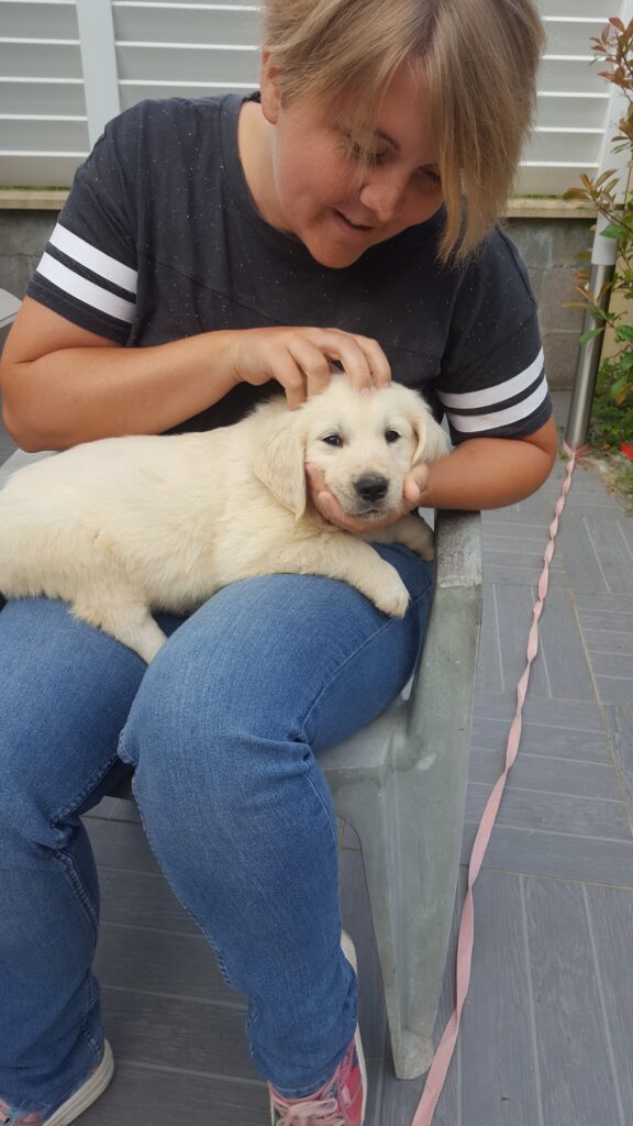 Séance ostéopathie chiot contrôle de croissance chien Lucie Tison Ostéopathe pour Animaux Bayeux Caen
