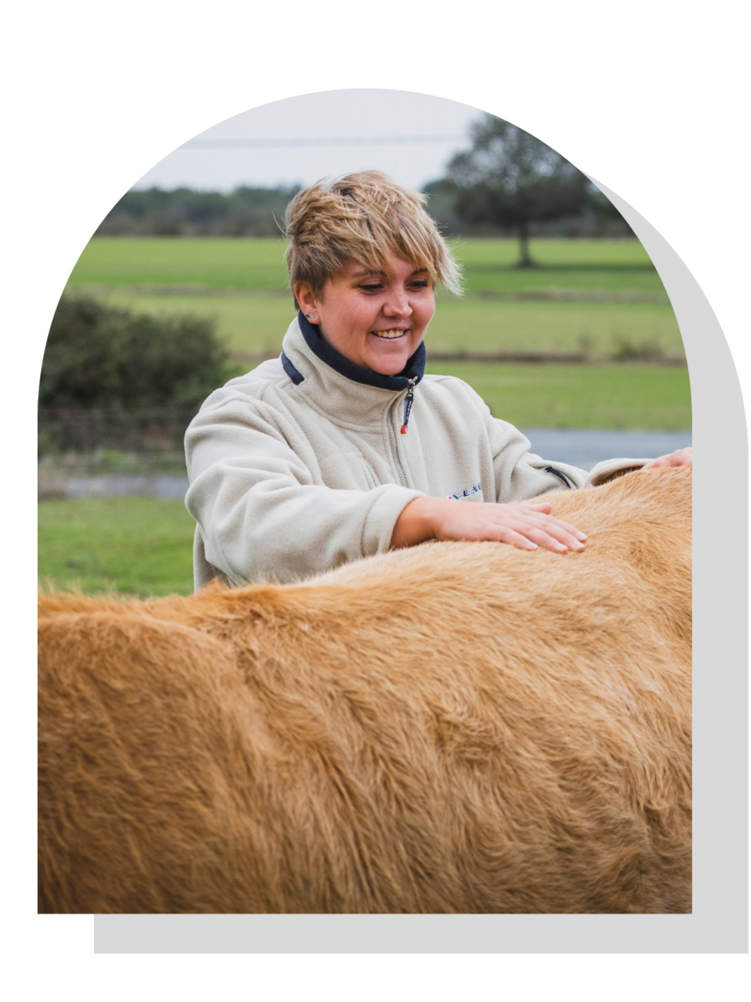 Séance d'ostéopathie sur une vache de 2 ans pour son contrôle annuel Carentan.