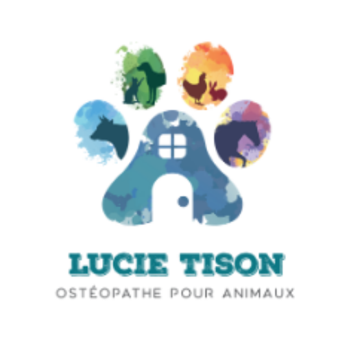 Logo Lucie Tison Ostéopathe animaux Bayeux Calvados Manche